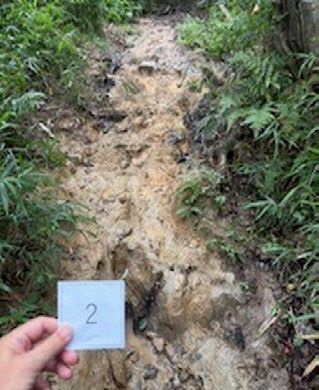 雨水でぬかるんだ道