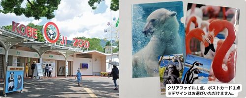 動物園HP用