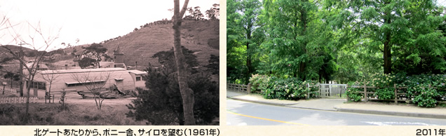 (左)北ゲートあたりから、ポニー舎、サイロを望む(1961年)(右)2011年
