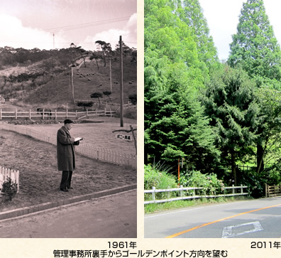 管理事務所裏手からゴールデンポイント方向を望む(左)1961年(右)2011年