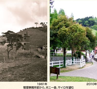 管理事務所前から、ポニー舎、サイロを望む(左)1961年(右)2010年