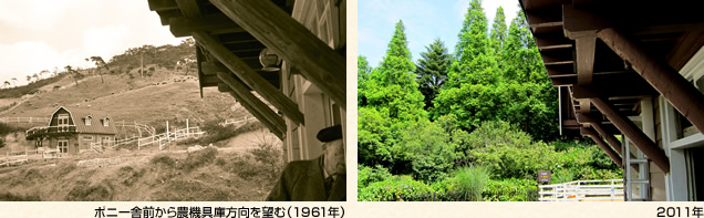 (左)ポニー舎前から農機具庫方向を望む(1961年)(右)2011年