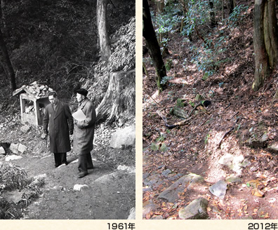 (左)1961年/(右)2012年