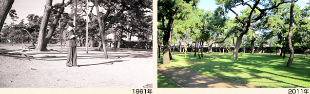 (左)1961年(右)2011年
