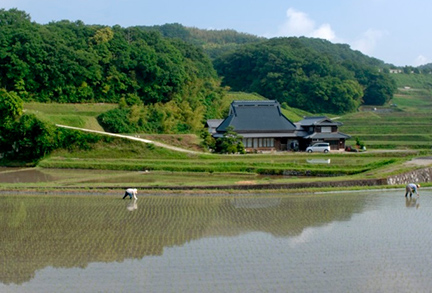 神戸市の農村風景／農村地域における空家の活用事例