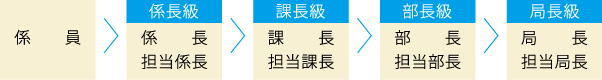 昇任イメージ:係員→係長級(係長、担当係長)→課長級(課長、担当課長)→部長級(部長、担当部長)→局長級(局長、担当局長)
