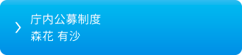 庁内公募制度 森花 有沙
